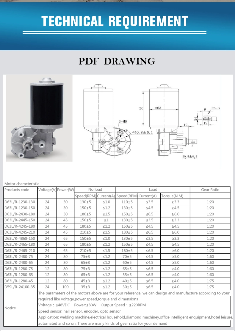 D49 D60 D63 12V 24V Electric DC Worm Gear Motor/Planetary Gear Motor for Lifting System/Wiper Motor