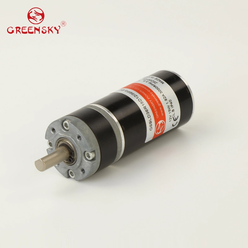 2022 Popular GS Micro Gear Motor Small Brushless DC Motor with Cheap Price