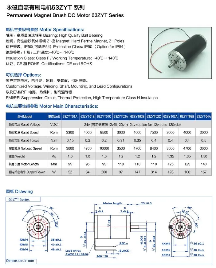 12V 24V Customized Brushed or Brushless Electric DC Pump Motor Used for Air Pump, Hydraulic Pump, Water/ Fuel/Oil/Vacuum/Medical Pump, Anti-Vibration Low Noise