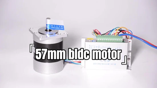 57mm 60mm 24V 4000rpm BLDC Motor Motor elétrico sem escova de alta velocidade sem vibração para ferramentas elétricas e robôs