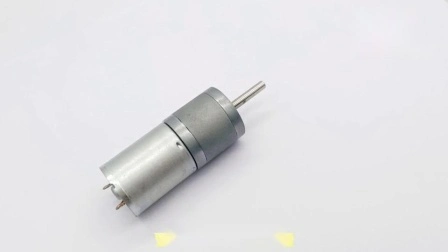 25mm 12V baixo rpm elétrico DC micro motor para Juicers